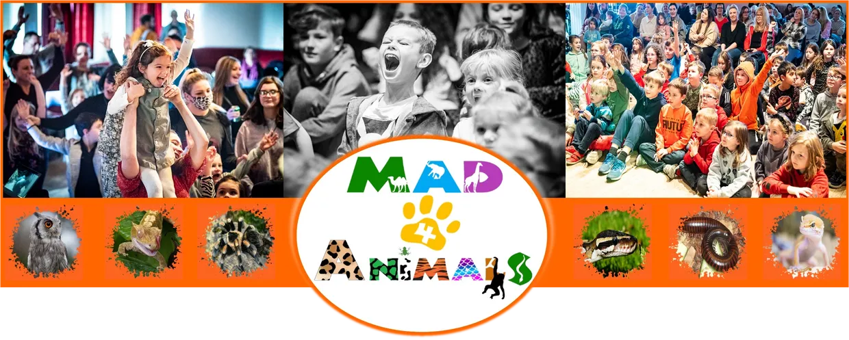 mad4animals</a>